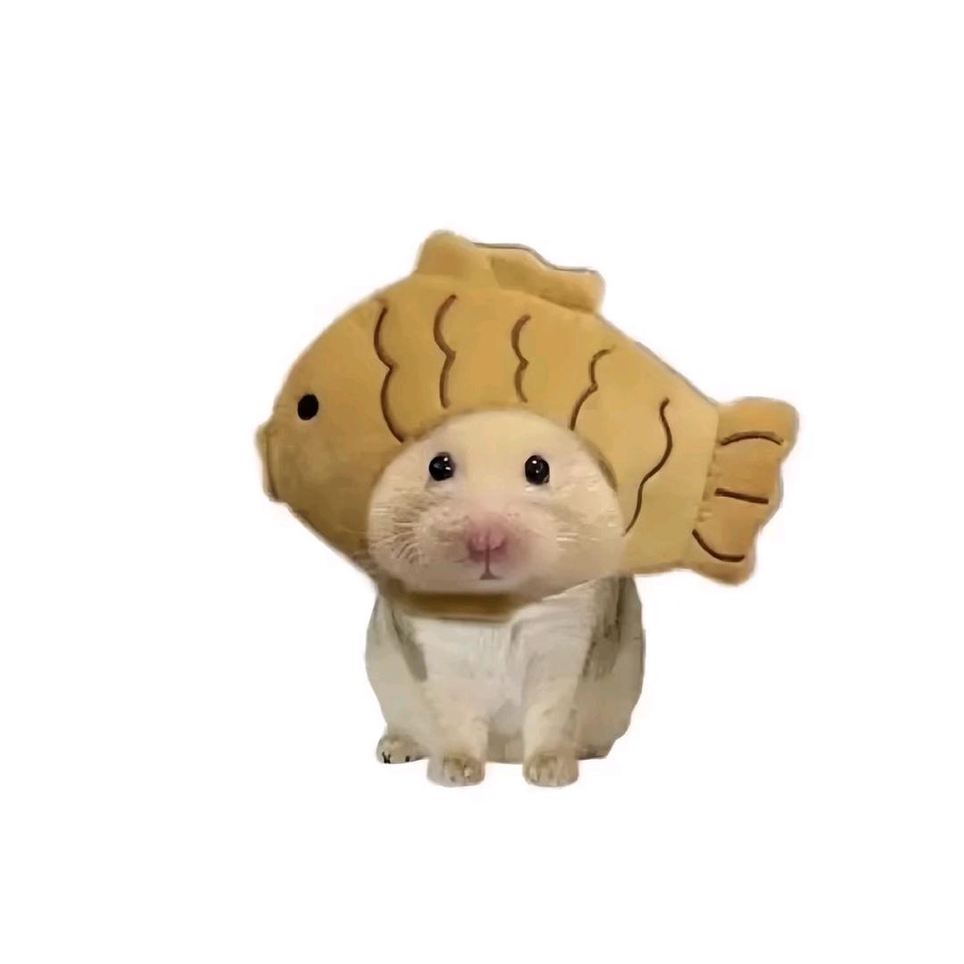 PomPom布丁