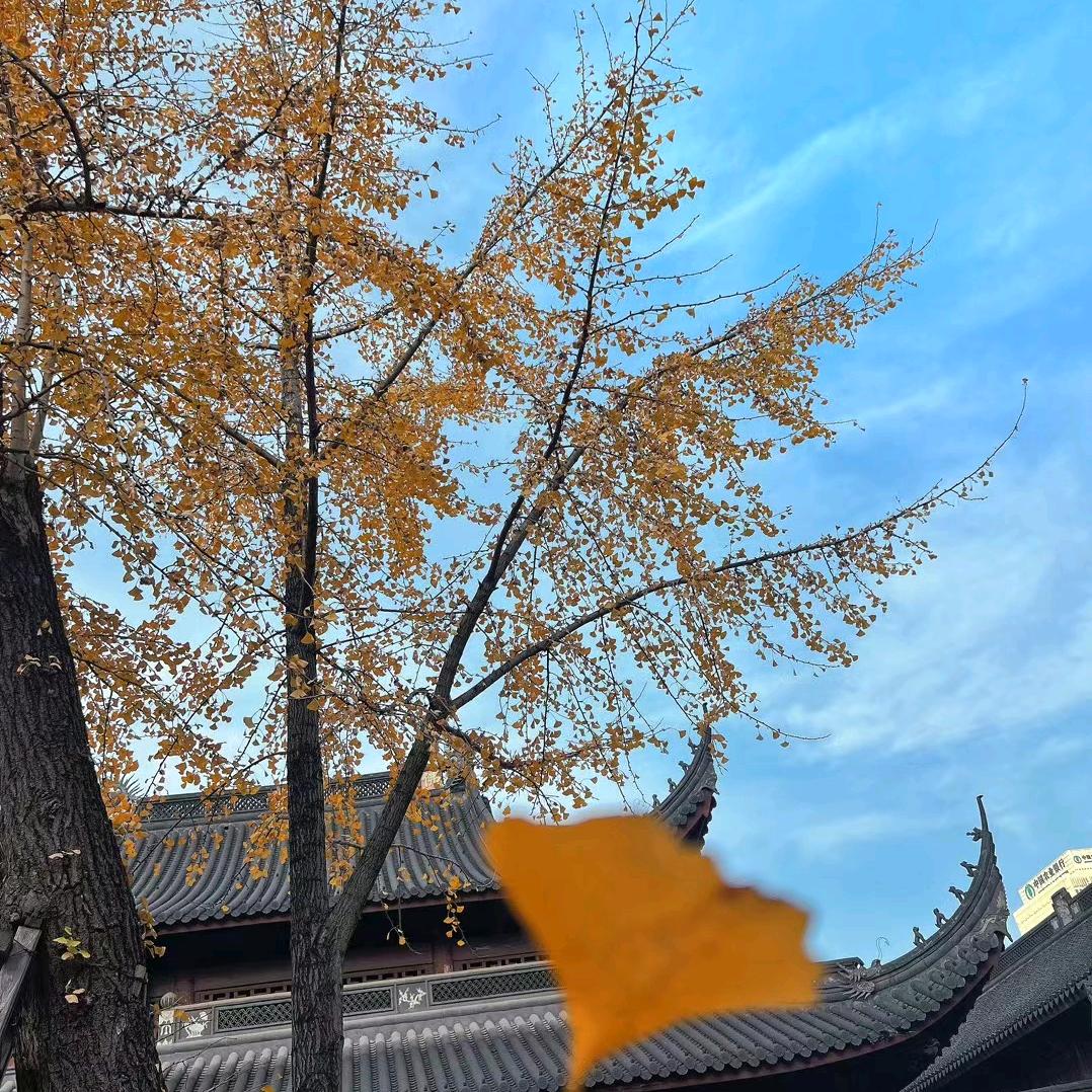 等一场空