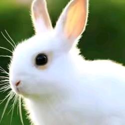 抖音，陪你抖过2025