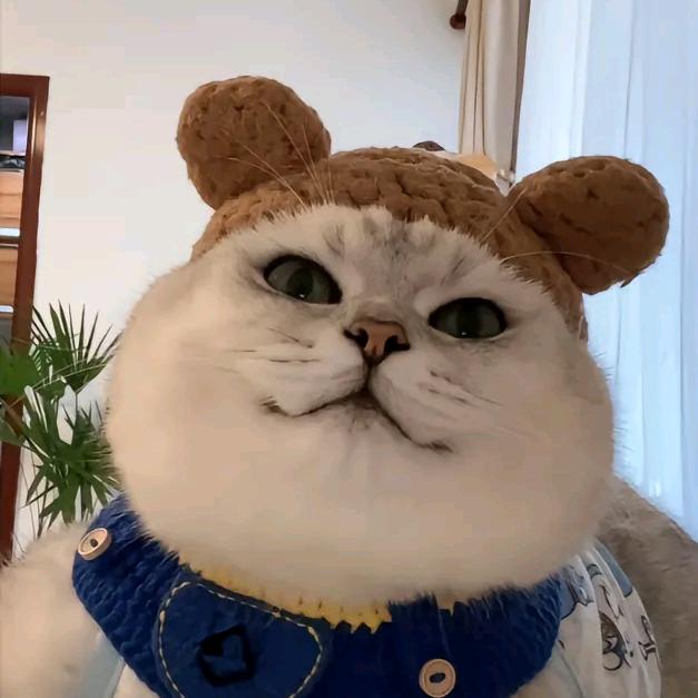 伊卡伊卡
