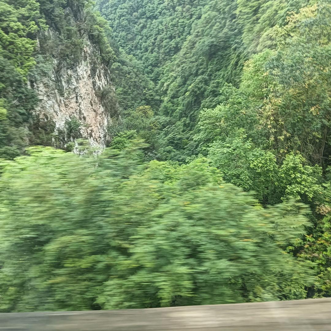 自命不凡
