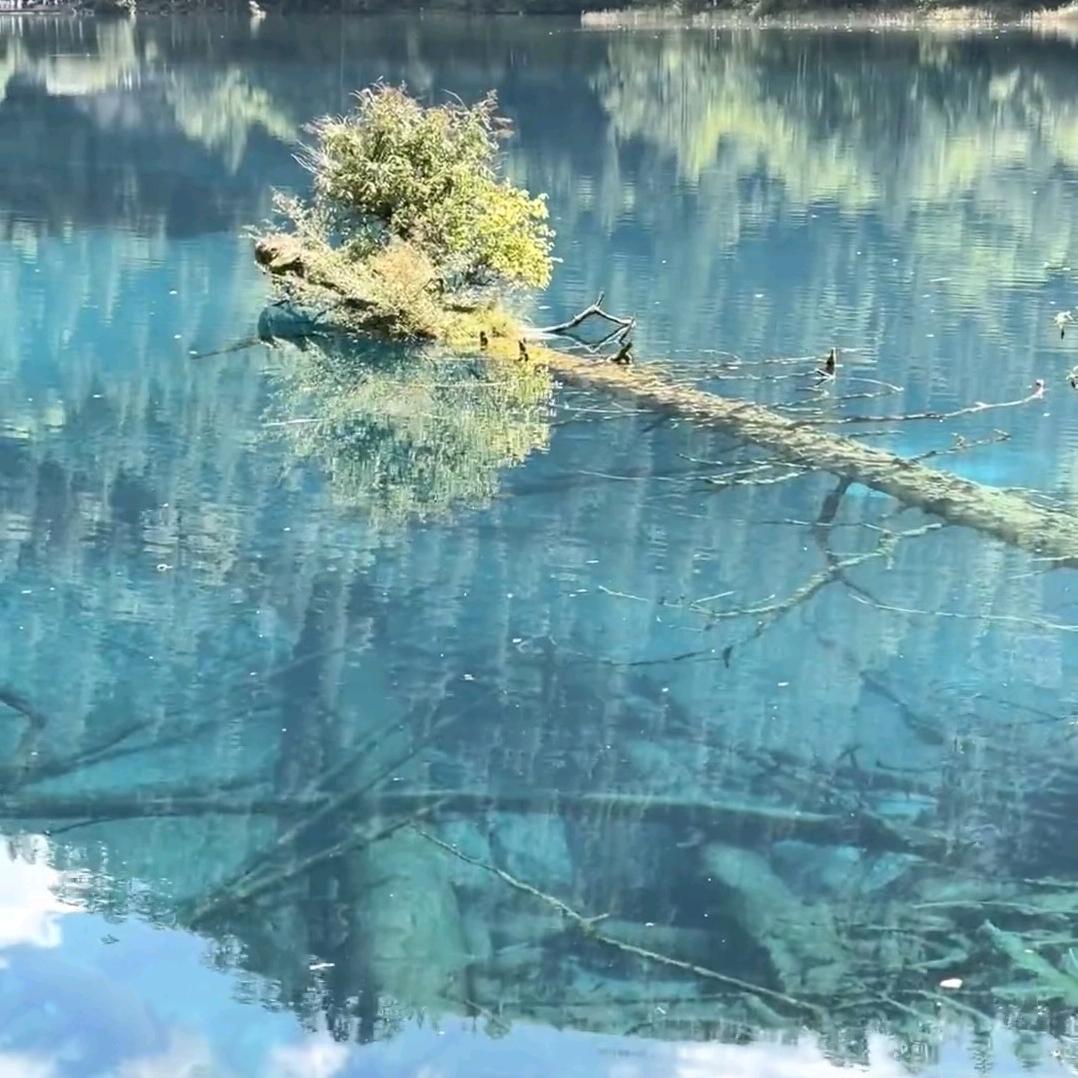 问道手游（简介岭曲）