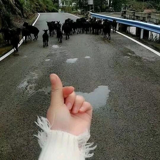 舍得