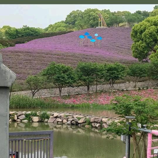 不如见一面