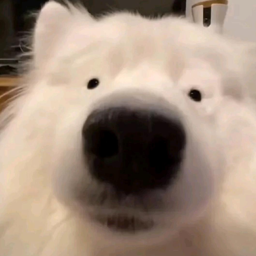 鲁迅不叫周树人