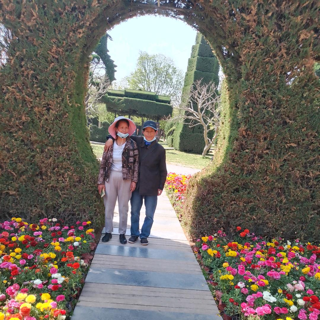 三大爷练葵花宝典先自宫才能练成功