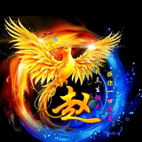 自由飞翔