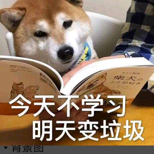 每日笑笑