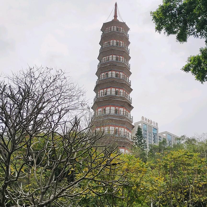 天临的江砚白头像