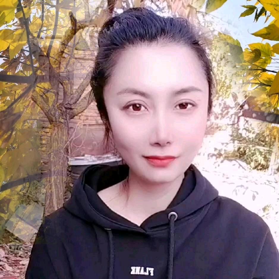 北雁在内蒙