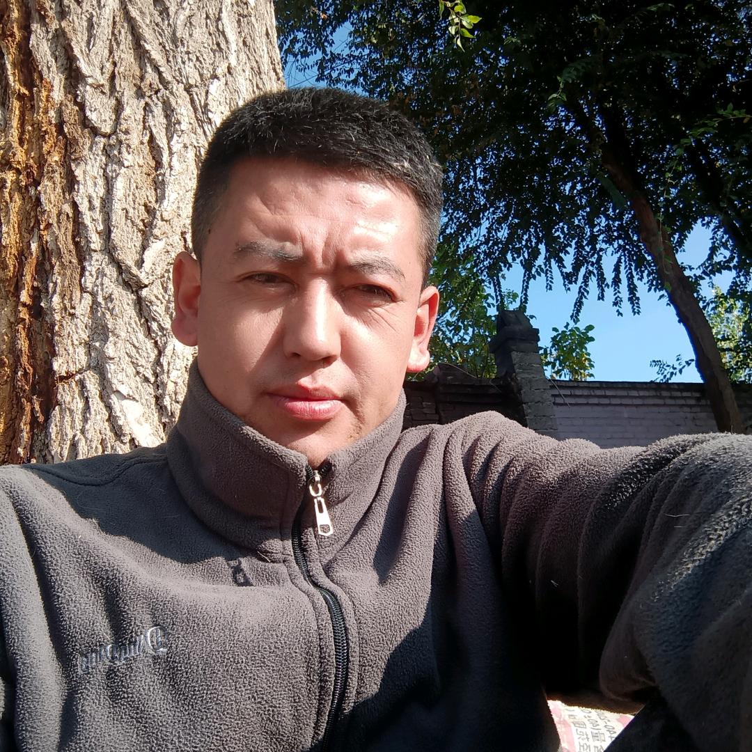 清晨小鸟