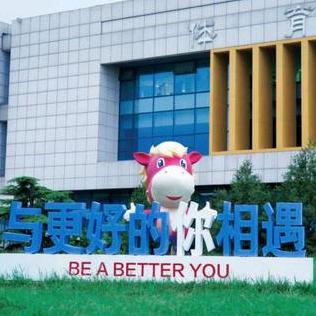我在燕理想你