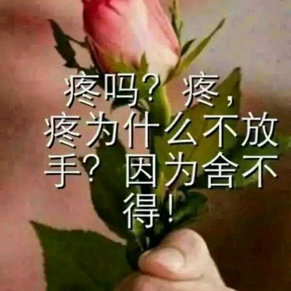 靠谁不如靠自己