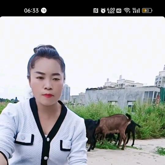小陈姐