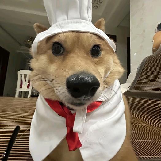 听不懂思密达