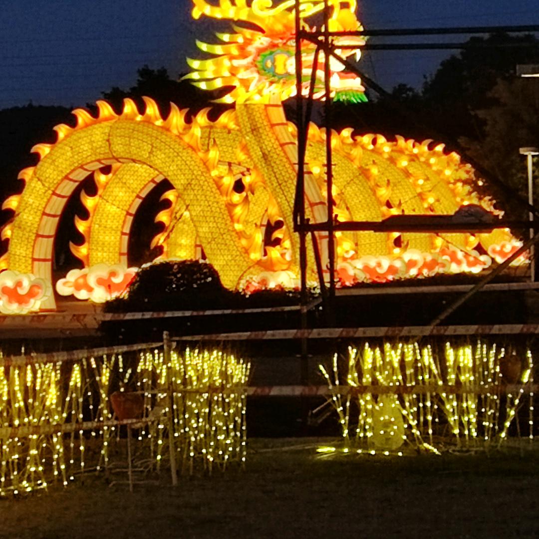 梅子（百物）