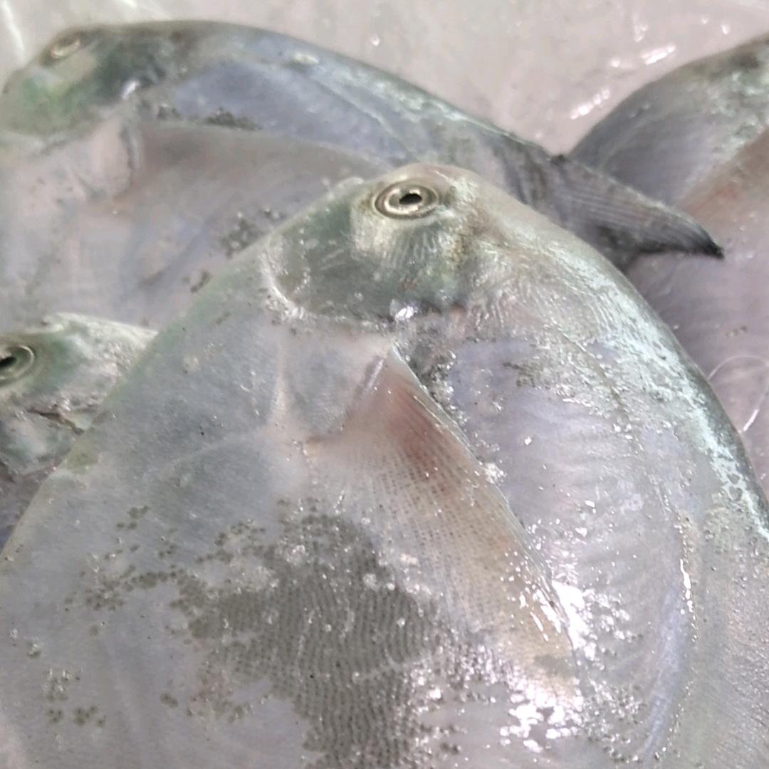 徐海海鲜小姐姐