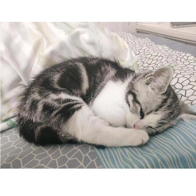 我住长江头君住长江尾