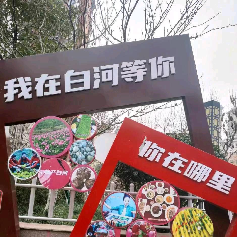 心匠巧搭装饰