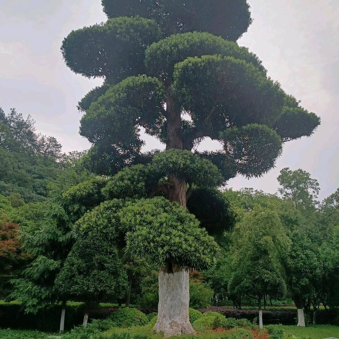 坊楼欧普照明