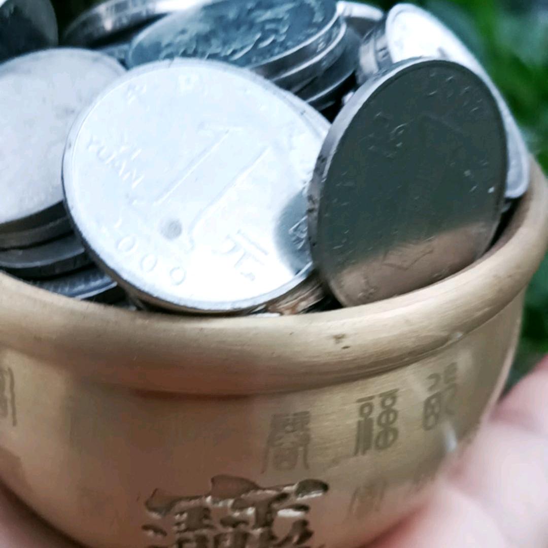 开化养土鸡，土水鸭