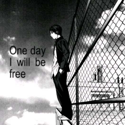 你见过爱丽丝吗