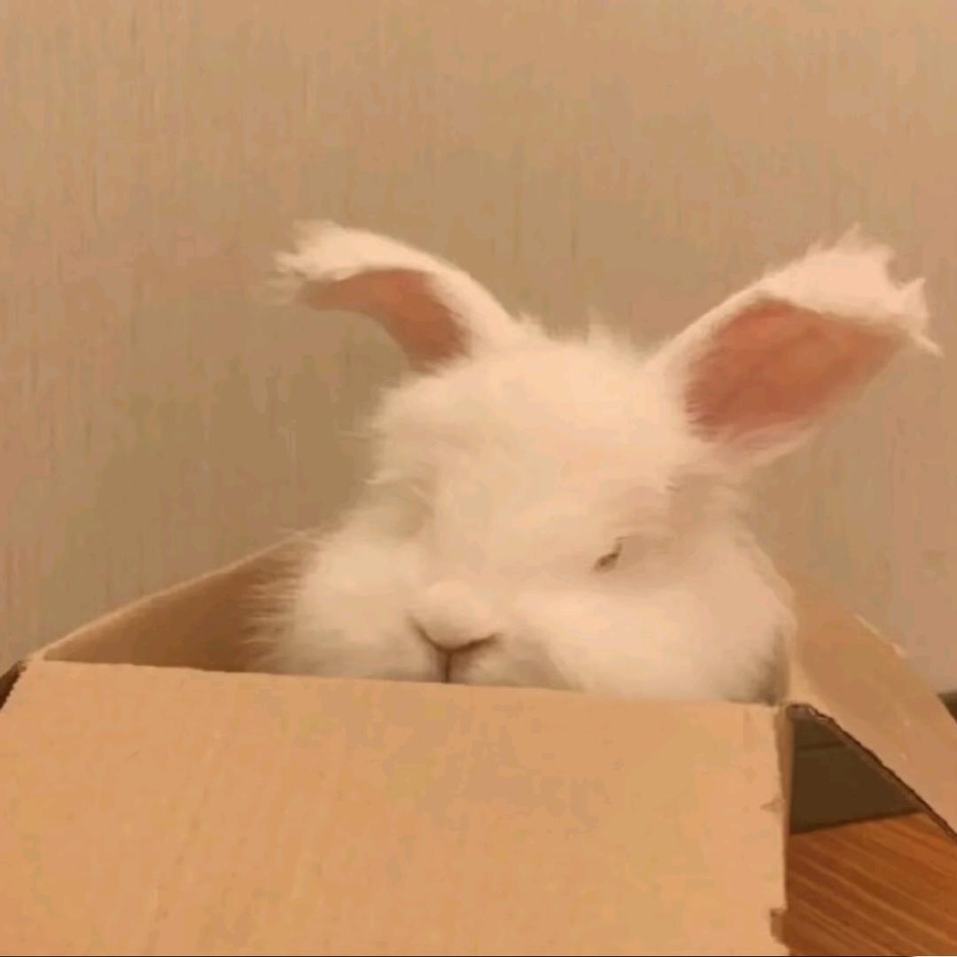 不想起床