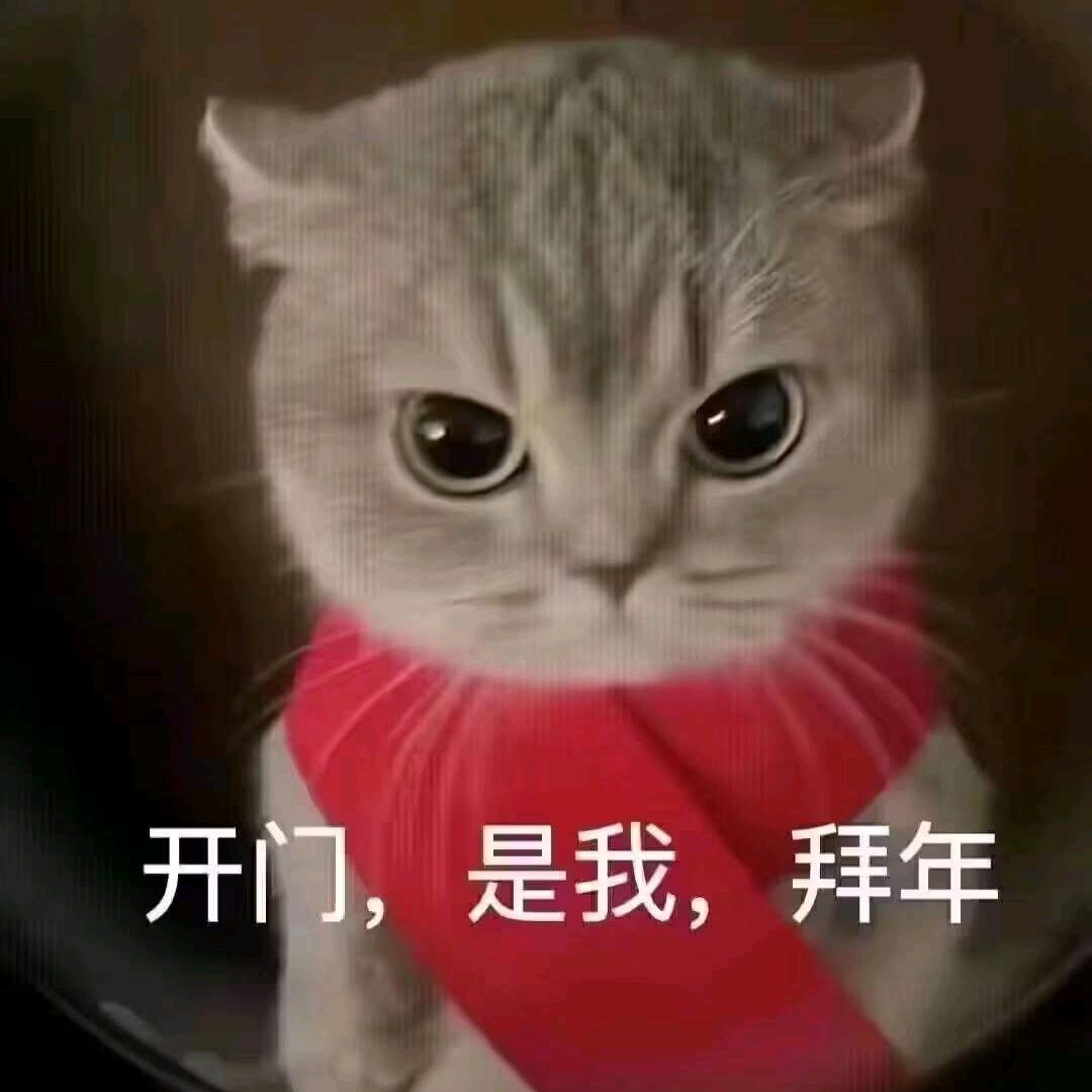 bang只会打狗没意思