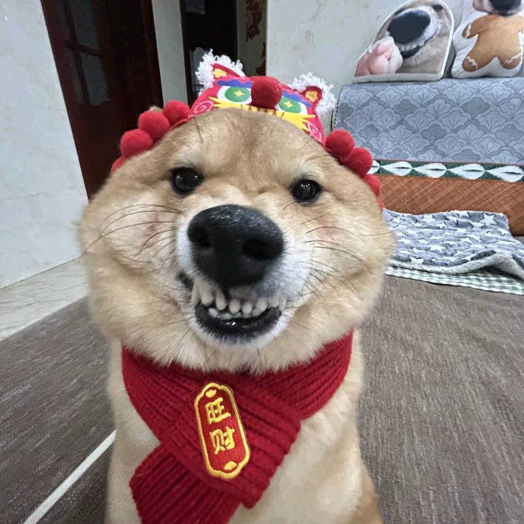 木纳的树