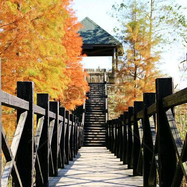 新哥✌(̿▀̿ ̿Ĺ̯̿̿▀̿ ̿)✌