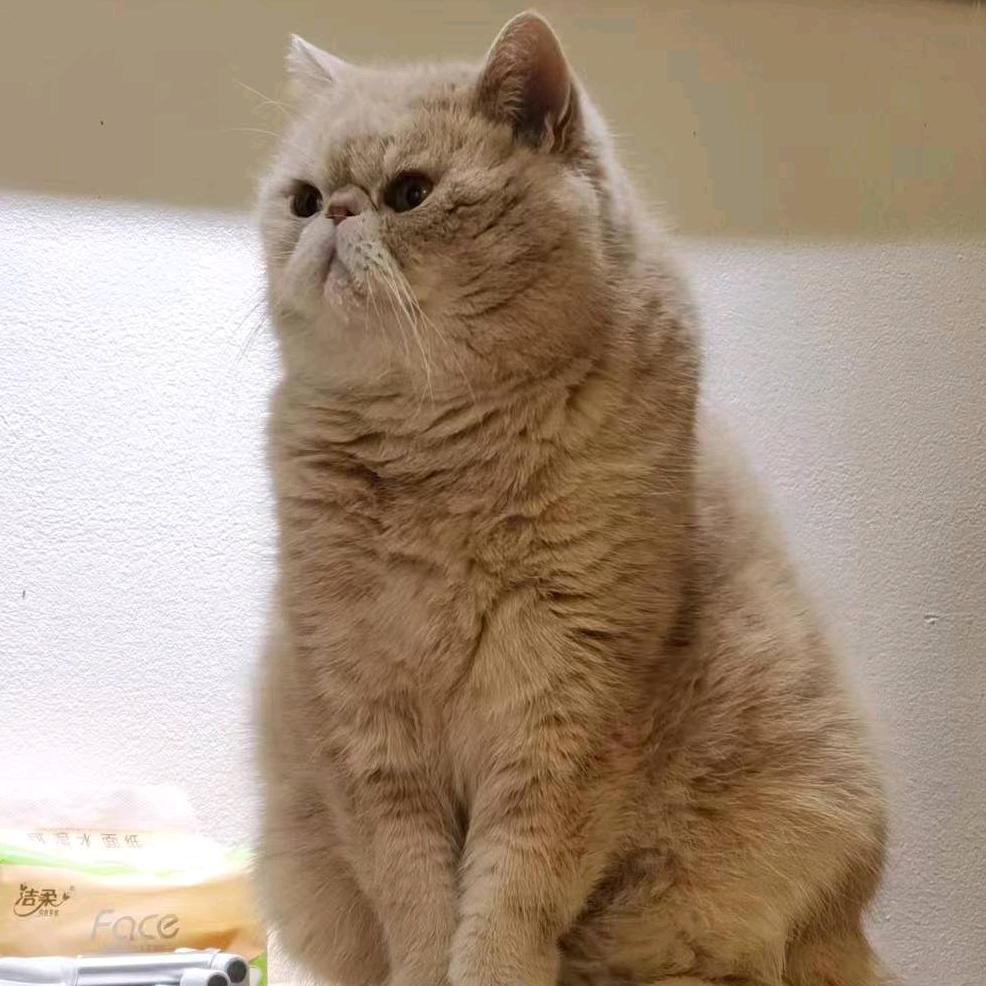 子曰好啊