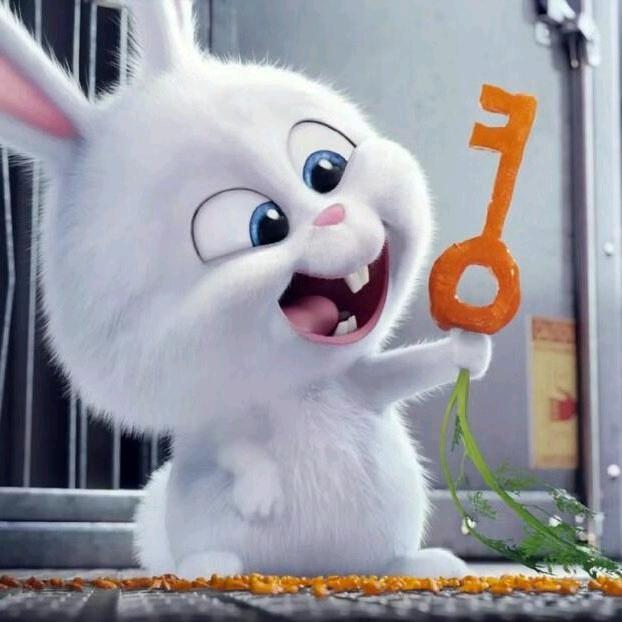 青岛一洲外贸服装工厂场小兔子