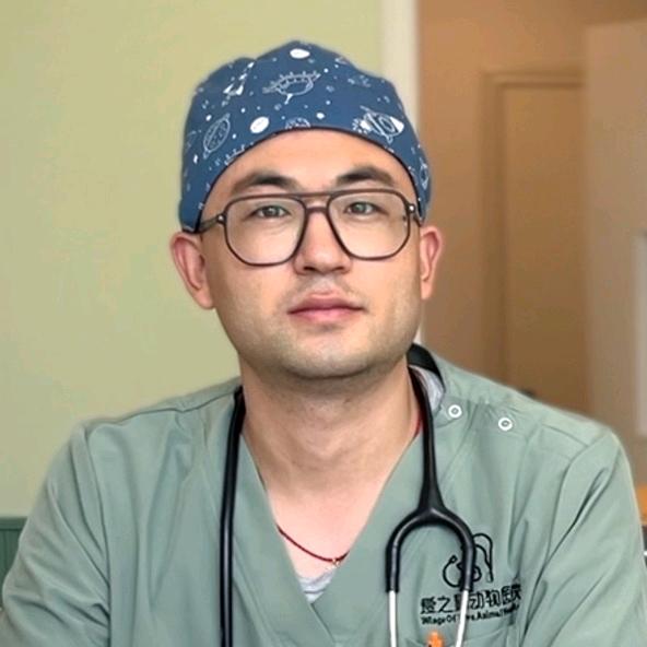治怪兽的波医生