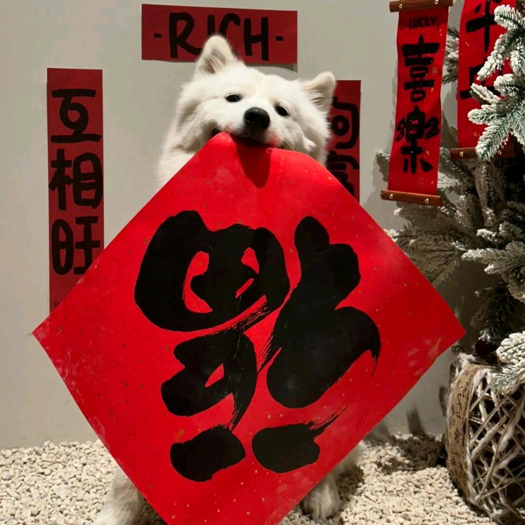 吃饱睡好没烦恼