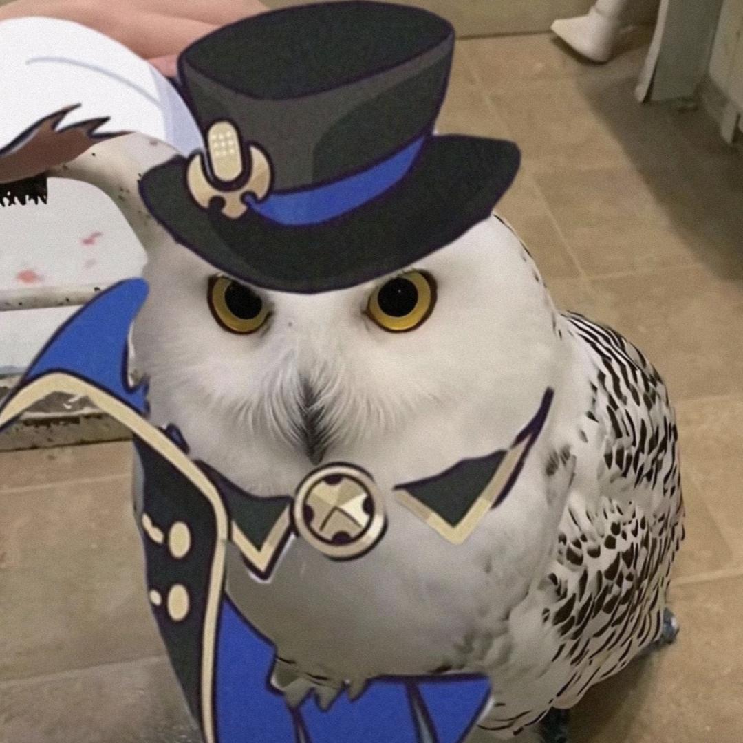 忧愁陈皮普洱茶