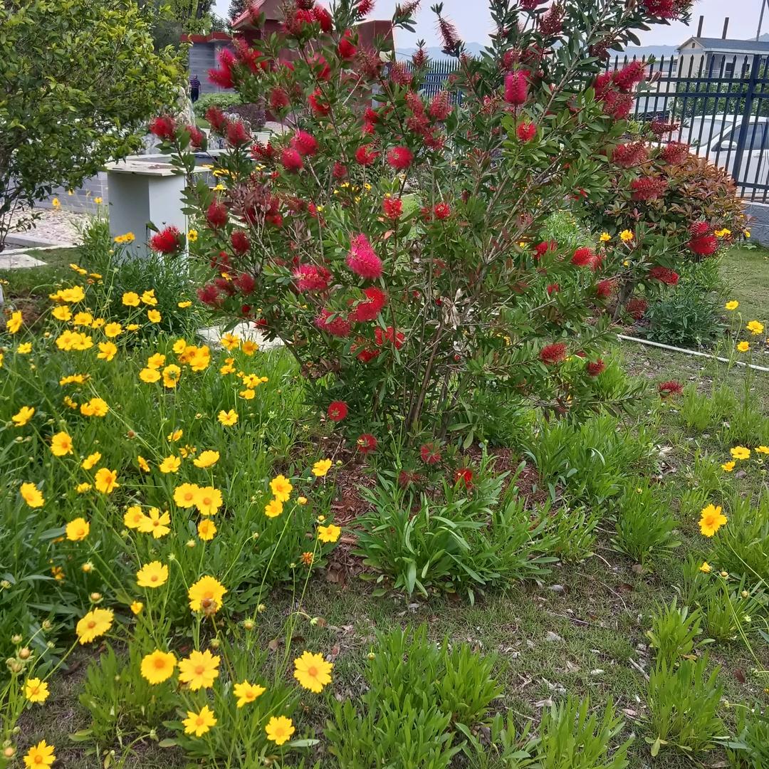 钱到用时方恨少