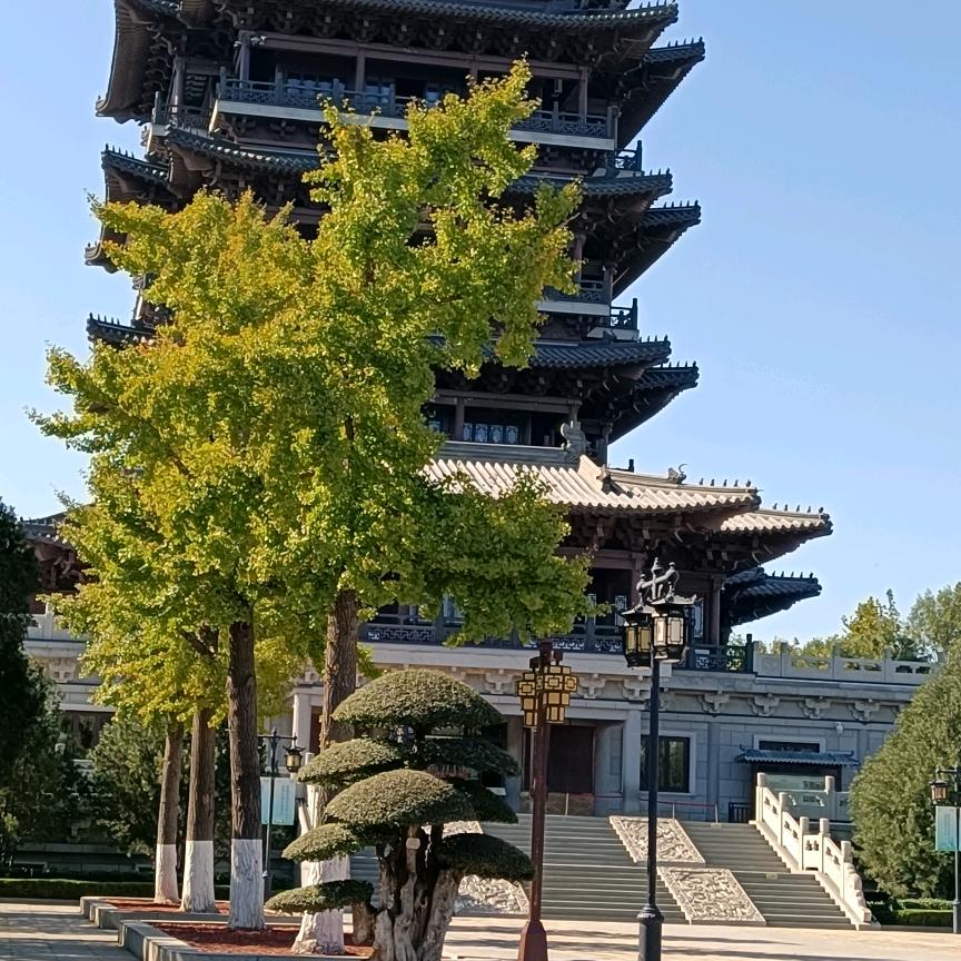 魏来( ｰ̀εｰ́ )可期⊙ω⊙