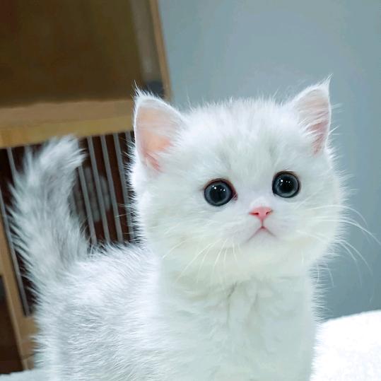 独行天下