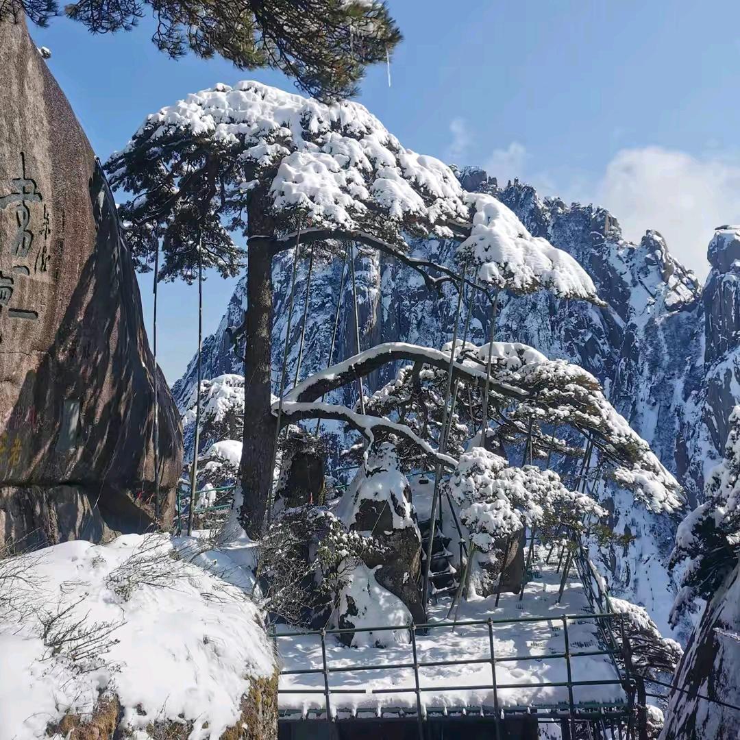雪儿