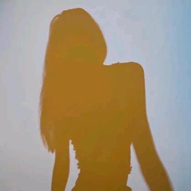 一花一草一世界