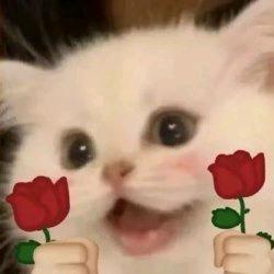 小花花给你