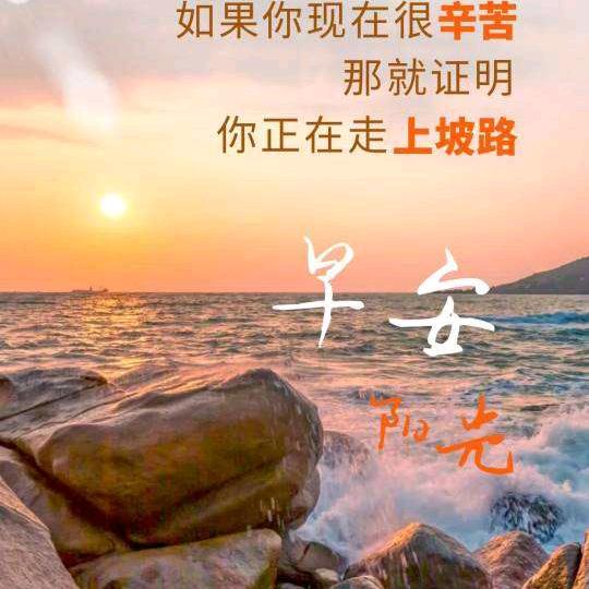 我心飞翔