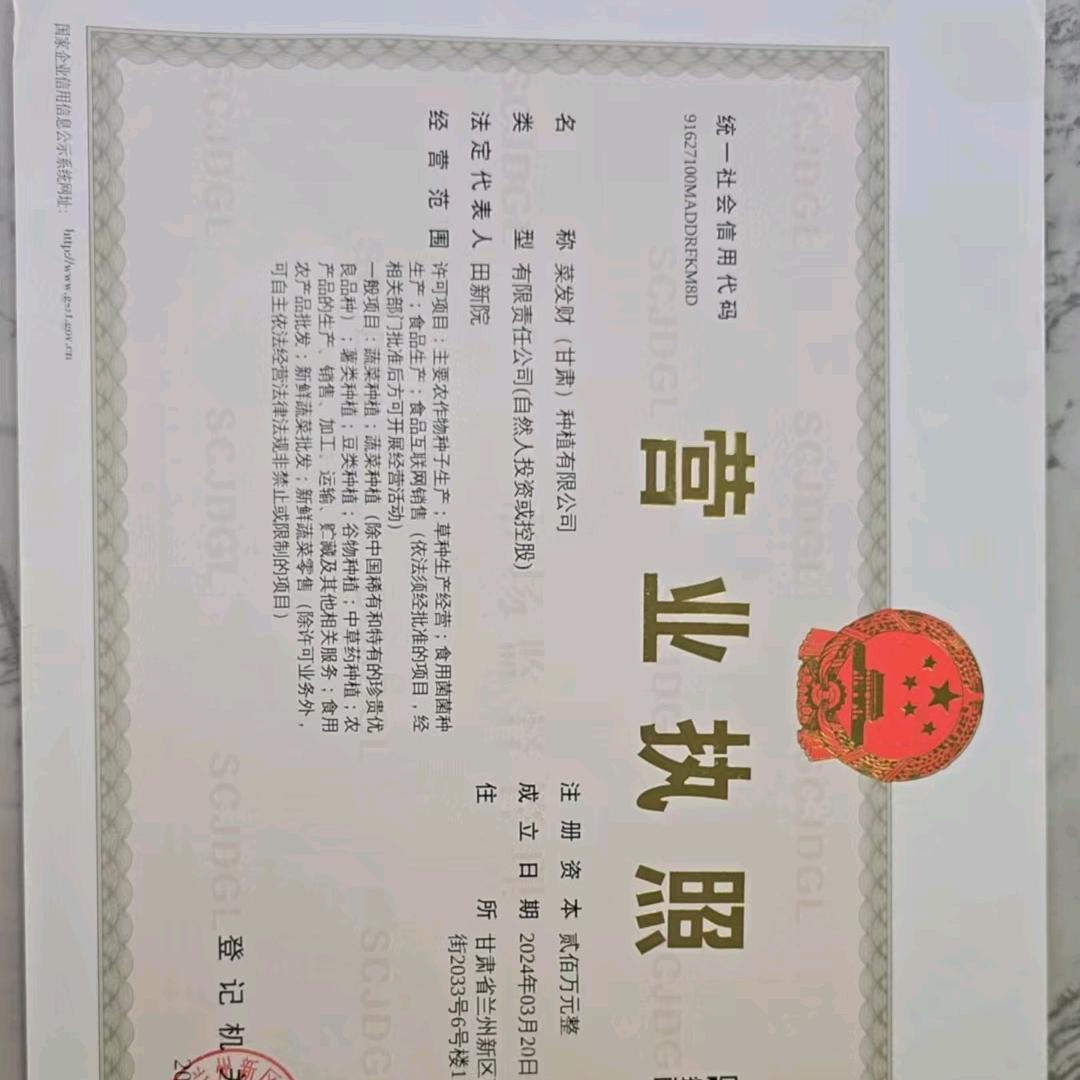 （田新院）甘肃洋葱，莴笋杆子，紫甘蓝