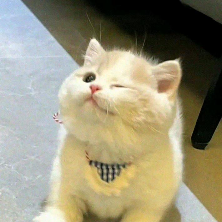 骨头汤.