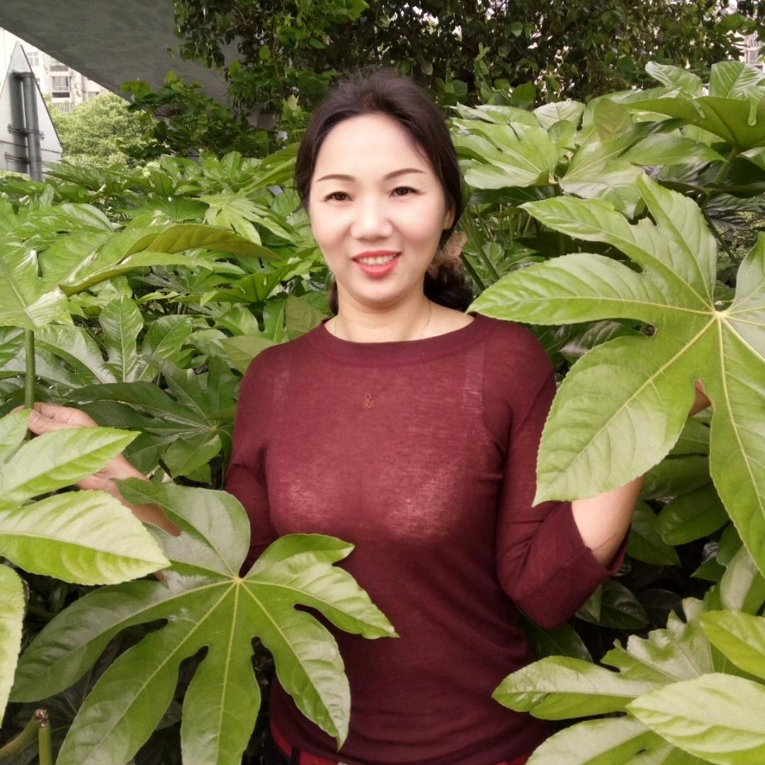 黑玫瑰