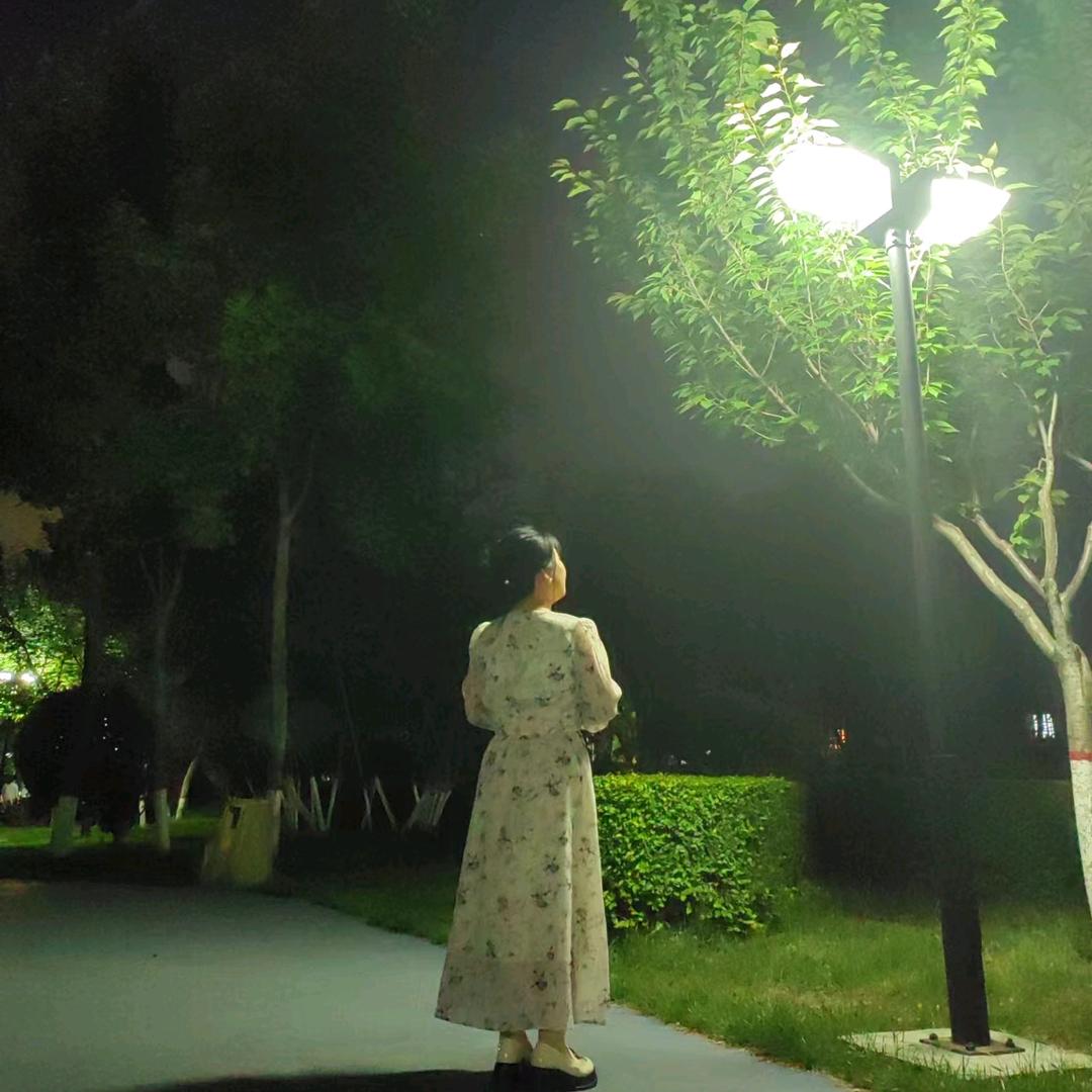 永济市初中物理贾老师