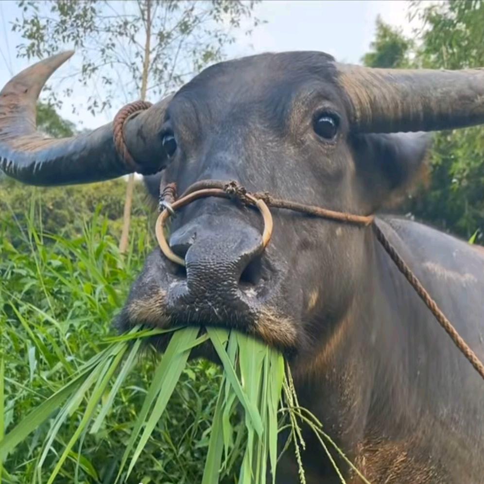 🌈🌈🌈餺壒鱳燚㦹蟘嚻