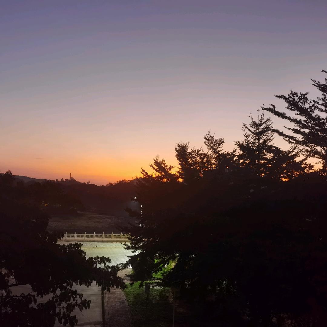 爱吃牛油果
