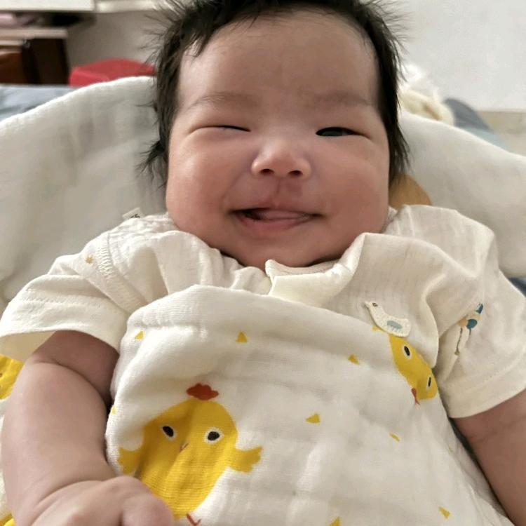 一帘子梦