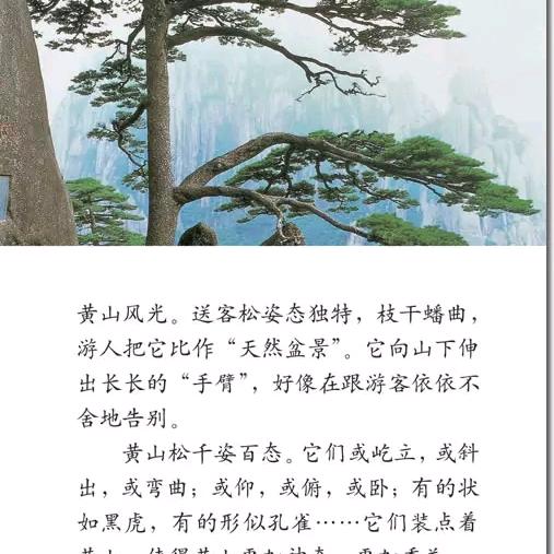 中小学新老版教材对比